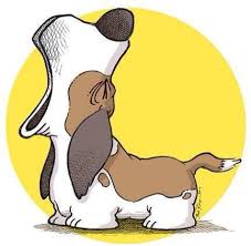 Pin By Carrie Mathes On Bassett Hounds Dog Drawing Dog Art Animal Drawings