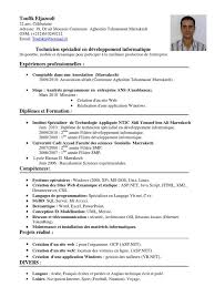 Exemple D Un Cv Technicien Telecharger Cv Modele Cv Telecharger Modele Cv