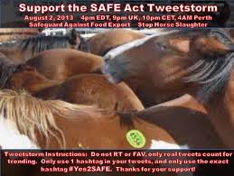 Save Us From Slaughter Horses War Horse Western Horse