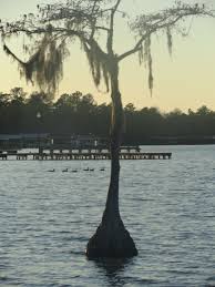 The dyrt pro makes it easier to find camping. This One Was Taken At The Pier At Camp Clear Water White Lake Nc White Lake White Lake Nc Lake