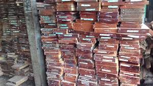 Tempail, kullanım olarak gmail ve hotmail'den farkı yoktur, bununla birlikte kişisel verilerinizi paylaşmadan (üye olmadan) istediğiniz kadar geçici mail hesabı oluşturur. Duta Rimba Indonesia Profil Perusahaan