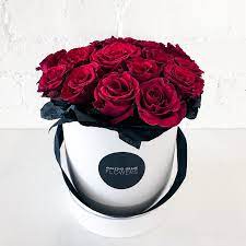 Check spelling or type a new query. Flower Delivery Melbourne Same Day Flower Delivery Amazing Graze Flowers