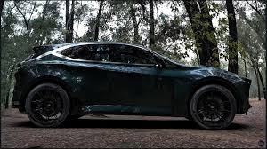 Image result for Black Forest 2006 RX