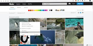 Download your or any user's sets (albums) download photos in 4 different sizes; Flickr Embed Wordpress Org