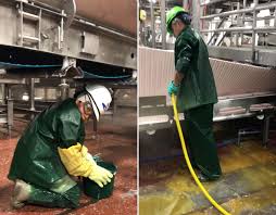 child working in meat processing plant
