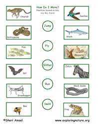 No problem — here's the solution. 5 Year Old Animal Quiz