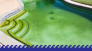 Let us meet your staycation needs through a smooth installation process and exceptional after sale service. Pool Cleaning New Wave Dave Pool Service