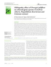 Image result for Lintonia nutans