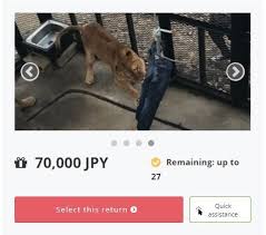 Mimpi memakai celana panjang dan hikmahnya,,celana adalah penutup tubuh yang bagian bawah dari pinggul sampai kaki,nah apa tafsir mimpi memakai celana panjang? Ada Ada Saja Kebun Binatang Ini Jual Celana Jeans Yang Dicabik Cabik Singa