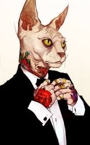 Sphynx Cat Karakter Tasarimi Sfenks Illustrasyonlar