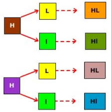 Contoh soal persilangan dihibrid dan jawabannya. Persilangan Dihibrid Kelas 9 Contoh Beserta Jawabannya