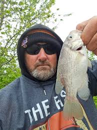 Catch of a bright rock bass in WNY fishing