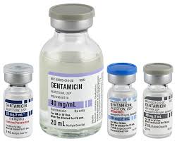 Image result for Gentamicin