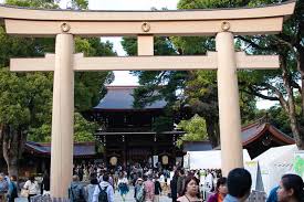 The shrine is surrounded by a lush forest composed of visit a cat cafe. Ultimate Guide To Harajuku Top Things To Do In Harajuku Aoyama Ninja Food Tours