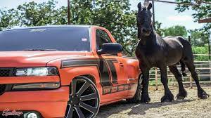 5,897 likes · 7 talking about this. Trabajando Con Caballos En Troca Tumbada Silverado 2000 Chevy On 24s Dropped Youtube