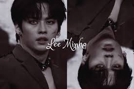 stay out of the woods // lee minho