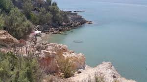 Ξεβράστηκε σε παραλία η βλέννα από τη θάλασσα του μαρμαρά (εικόνες) parapolitika newsroom 24.06, 09:33 Paralies Oi 10 Kalyteres Epiloges Lhmnos Tripadvisor