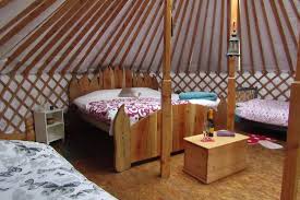 Awesome domes with 180 degree transparent walls mean you can enjoy looking up at the sky at night from the comfort of your own bed! Hobbit House Experience Review Of Ireland Glamping Pink Apple Orchard Leitrim Ireland Tripadvisor