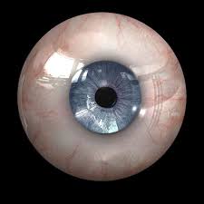 Realistic Eye 3d Model Eye Texture Realistic Eye Eyeball Art