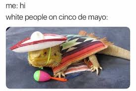 13 Cinco De Mayo Memes For Anyone Tryna Get Turnt Memebase Funny Memes