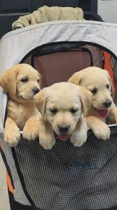 It's just another day , what shall we do😜