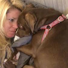 How does your Pitbulls feel about road trips? Join Us : Pitbulls Dad 🐾