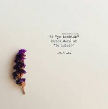  Las 80 Mejores Frases Cortas De Amor Frases Amor Cortas Amor Frases