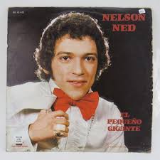 Nelson Ned