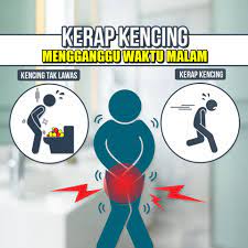 Penyebab, diagnosis, cara tak hanya diabetes melitus, penyakit diabetes insipidus juga membuat penderitanya sering kencing. Asik Bangun Kencing Tgh Malam Biolz Stayz Healthy Choice Facebook