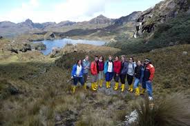 El pajonal andino es el ecosistema que predomina notoriamente, ya que ocupa el 38% del territorio. Parque Nacional El Cajas