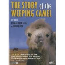 * the story of the weeping camel *. Story Of De Weeping Camel Vo Byambasuren Davaa Dvd Achat Prix Fnac