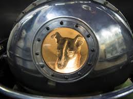 The soviet union achieved an early lead in the space race by launching the first artificial satellite sputnik 1 (replica shown) in 1957. Laika At 60 What Happens To All The Dogs Monkeys And Mice Sent Into Space The Independent The Independent