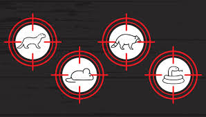 Since baton rouge is densely populated, rodents find the area very attractive. Unusual Services The Bug Man Pest Control Louisiana