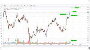 Punjab National Bank Bullish Gap Up 19th March 2019 Eqsis Pro