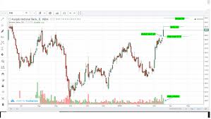 Punjab National Bank Bullish Gap Up 19th March 2019 Eqsis Pro