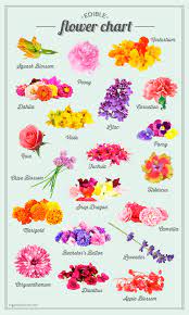 Check spelling or type a new query. Edible Flower List And Chart Sugar And Charm