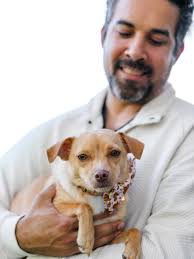 Happy Thanksgiving from our little crew 🤎 Feeling extra grateful this year  for the quiet joys- family, love, friends, good food, and our tiny pup,  Lily, who thinks she runs the house.