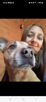 My treacle was put down