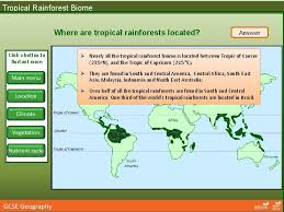 Tropical rainforests can be found in south and central america, southeast asia, africa, south india, and northeast australia. Tropical Rainforest Ecosystems Click A Button To Find