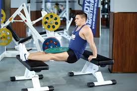 To get flat, firm abs, you have to kickstart your metabolism to burn fat from all over. Weighted Bench Dip How To Do It Video Of Performing Technique Atletiq Com