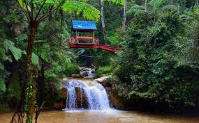 Menawarkan pelbagai pakej itinerary penginapan hotel resort dan diskaun promosi untuk para pengunjung dan juga ada tempat yang menawarkan bayaran masuk percuma dan free di sini dan banyak lokasi cantik untuk bergambar photoshoot tidak mengira samaada. Pakej Cameron Highlands 3 Hari 2 Malam Popular