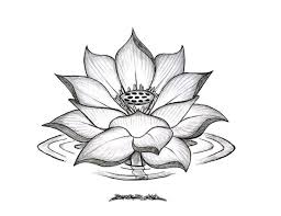 Lotus Flower Drawing Google Search Lotus Flower Tattoo Design