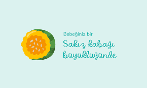 25 haftalik gebelik bebeginizin beyni gelisiyor