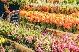 1,745 likes · 1 talking about this. Columbia Road Flower Market An Insider S Guide London X London