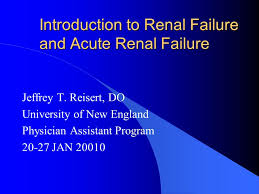 Renal diseasacute glomerulonephritis acute gn is characterized by the abrupt onset of hematuria and proteinuria, often accompanied by azotemia and. Introduction To Renal Failure And Acute Renal Failure Ppt Video Online Download