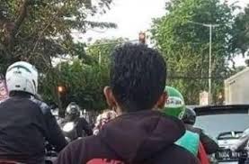 View daily, weekly or monthly format back to trillium therapeutics inc. Pria Naik Motor Tak Pakai Helm Tulisan Di Jaketnya Bikin Gagal Fokus Mobimoto Com