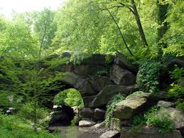 North Woods Northwoods Landscape Central Park