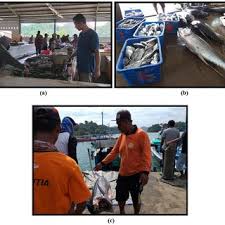 Assalamualaikum, chambering vacancy messrs arizal jailani& co. Bambang Semedi Senior Lecturer And Researcher Phd Brawijaya University Malang Faculty Of Fisheries And Marine Sciences
