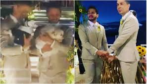 We did not find results for: Casamento De Carlinhos Maia Entrada Dos Caes Foi Momento Fofo Vix