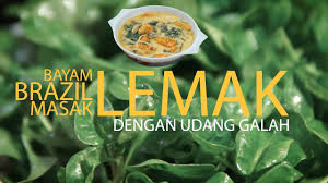 Saya yakin sudah pasti ada yang sedang berehat selepas makan. Bayam Brazil Masak Lemak Udang Galah Youtube
